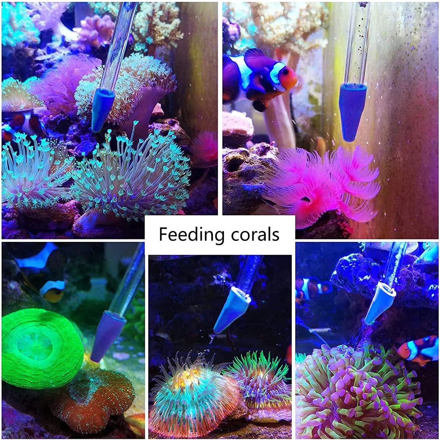 Coral Feeder Long Syringe, 2 Units, SPS HPS Marine Reef Coral Feeder Tool, 2 Tweezers for Coral Frag, Fish Excreta Cleaner