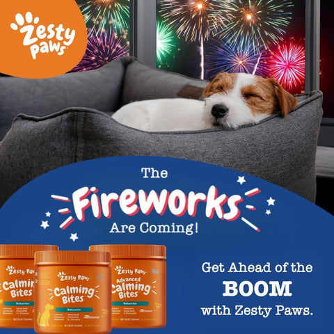 Orastix for Dogs - Calming Dental Sticks for Stress with Hemp Melatonin Chamomile Dog Healthy Teeth and Gums Calm Composure for Fireworks and Thunderstorms - 25Oz