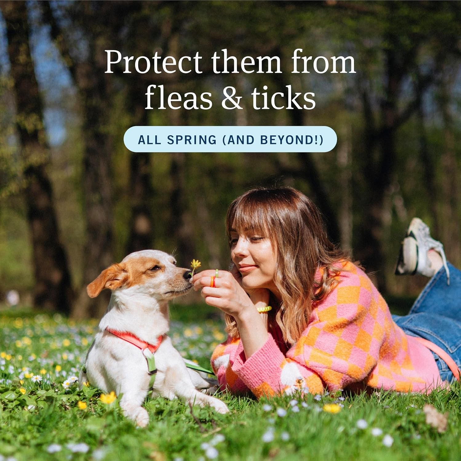 plus Flea and Tick Prevention for Dogs, Dog Flea and Tick Treatment, 6 Doses, Waterproof Topical, Fast Acting, Medium Dogs (23-44 Lbs)