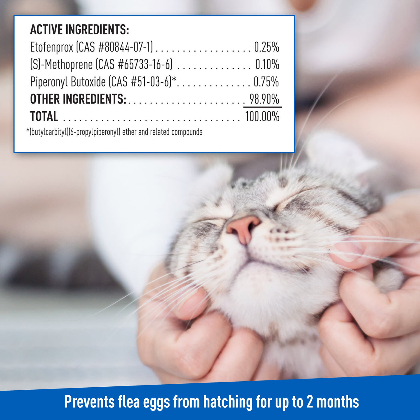 (2 Pack)  Flea and Tick Spray for Cats, 16 Ounces