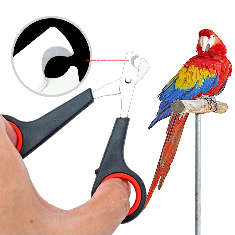 Pet Bird Parrot Small Animals Accessory Grooming Tool Nail Scissors Clipper Black and Red