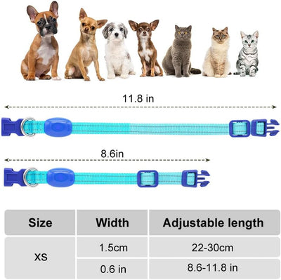 Light up Dog Collars Rechargeable Puppy Collar Lighted Cat Collar Glow in the Dark Dog Lights for Small Dogs & Cats (X-Small, Blue)