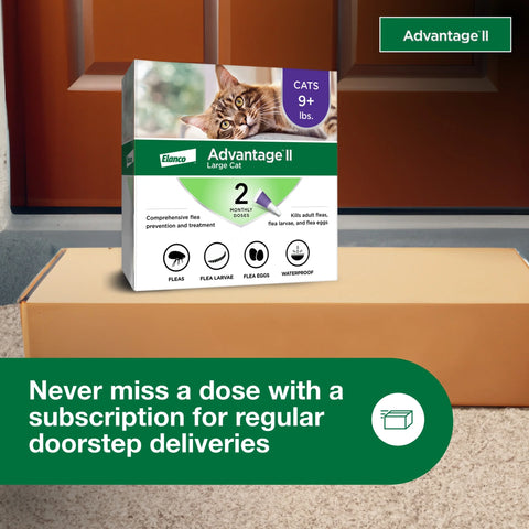 (3 Pack)  Vet-Recommended Flea Prevention for Large Cats 9 Lbs+, 2-Monthly Treatments