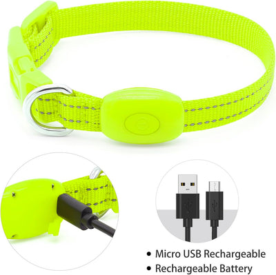 Light up Dog Collar for Small Dog, XS Adjustable Size Nylon Collar USB Rechargeable Bright Safety Pet Collar for Cats Dogs (Green)