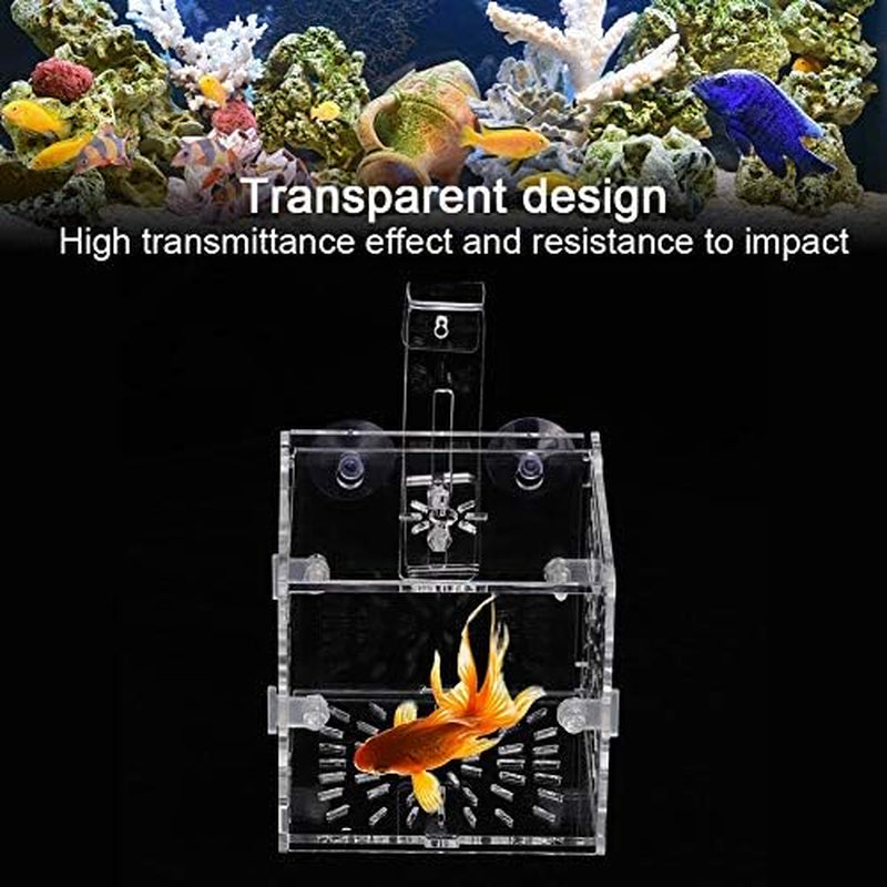 Fish Separation Breeder Box, Acrylic Transparent Fish Breeding Isolation Box Aquarium Hatchery Incubator Holder(A-10X10X10Cm)