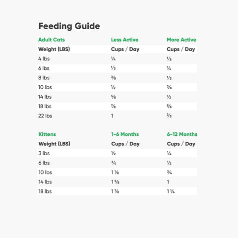 , Grain Free Dry Cat Food, High-Protein Kibble for a Complete & Balanced Diet, Non-Gmo Fruits & Vegetables, Prebiotic Fibers to Support Digestion, Pasture-Raised Lamb Recipe, 4Lb Bag