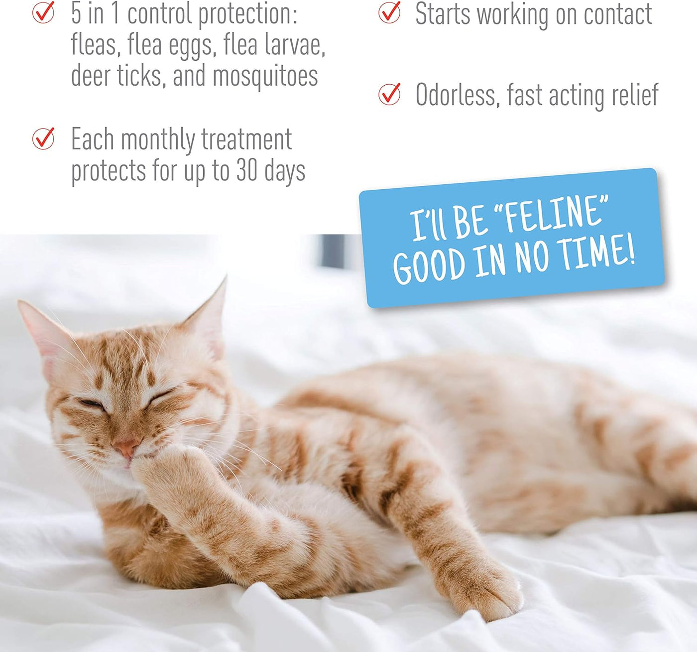 Plus Flea & Tick Spot on for Cats 5 Lbs and Over