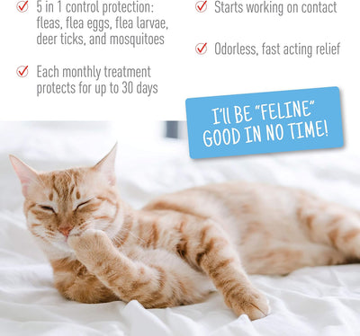 Plus Flea & Tick Spot on for Cats 5 Lbs and Over