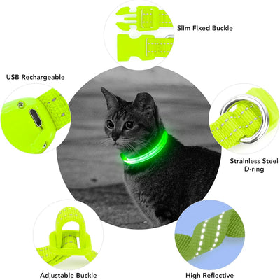 Light up Dog Collar for Small Dog, XS Adjustable Size Nylon Collar USB Rechargeable Bright Safety Pet Collar for Cats Dogs (Green)