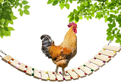 Chicken Coop Toy - Natural Wood Chicken Ladder, Swing, Perch for Hens, Poultry, Rooster, Chicks