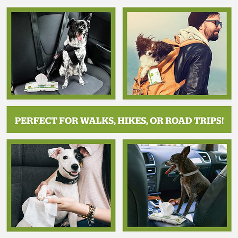 Pogi'S Grooming Wipes - Hypoallergenic Pet Wipes for Dogs & Cats - Plant-Based, Earth-Friendly, Deodorizing Dog Wipes