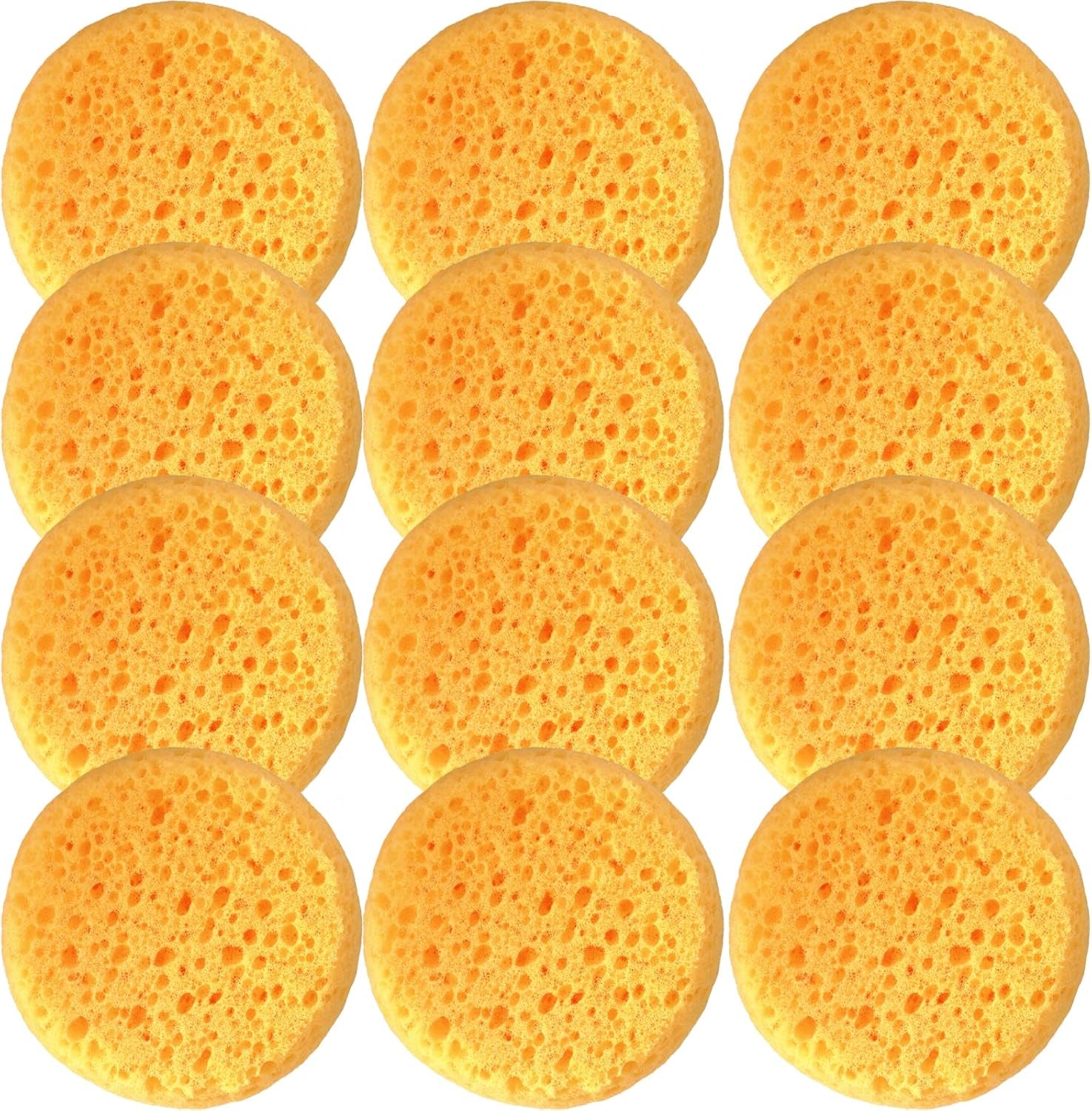 A Box of 12 Tack Sponges (Coarse Holes)