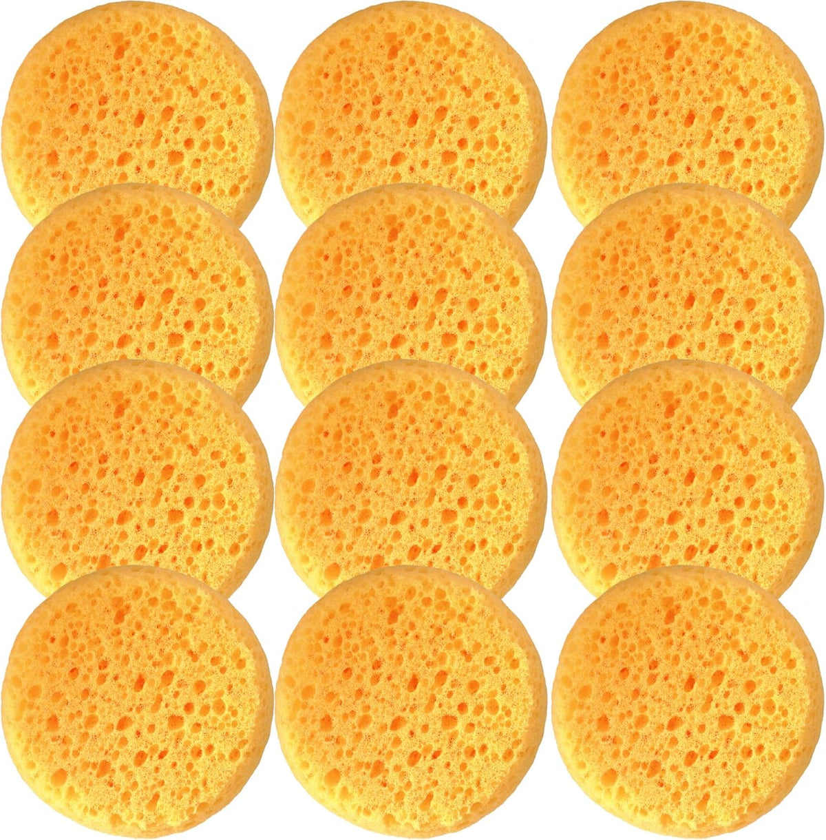 A Box of 12 Tack Sponges (Coarse Holes)
