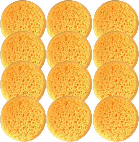 A Box of 12 Tack Sponges (Coarse Holes)
