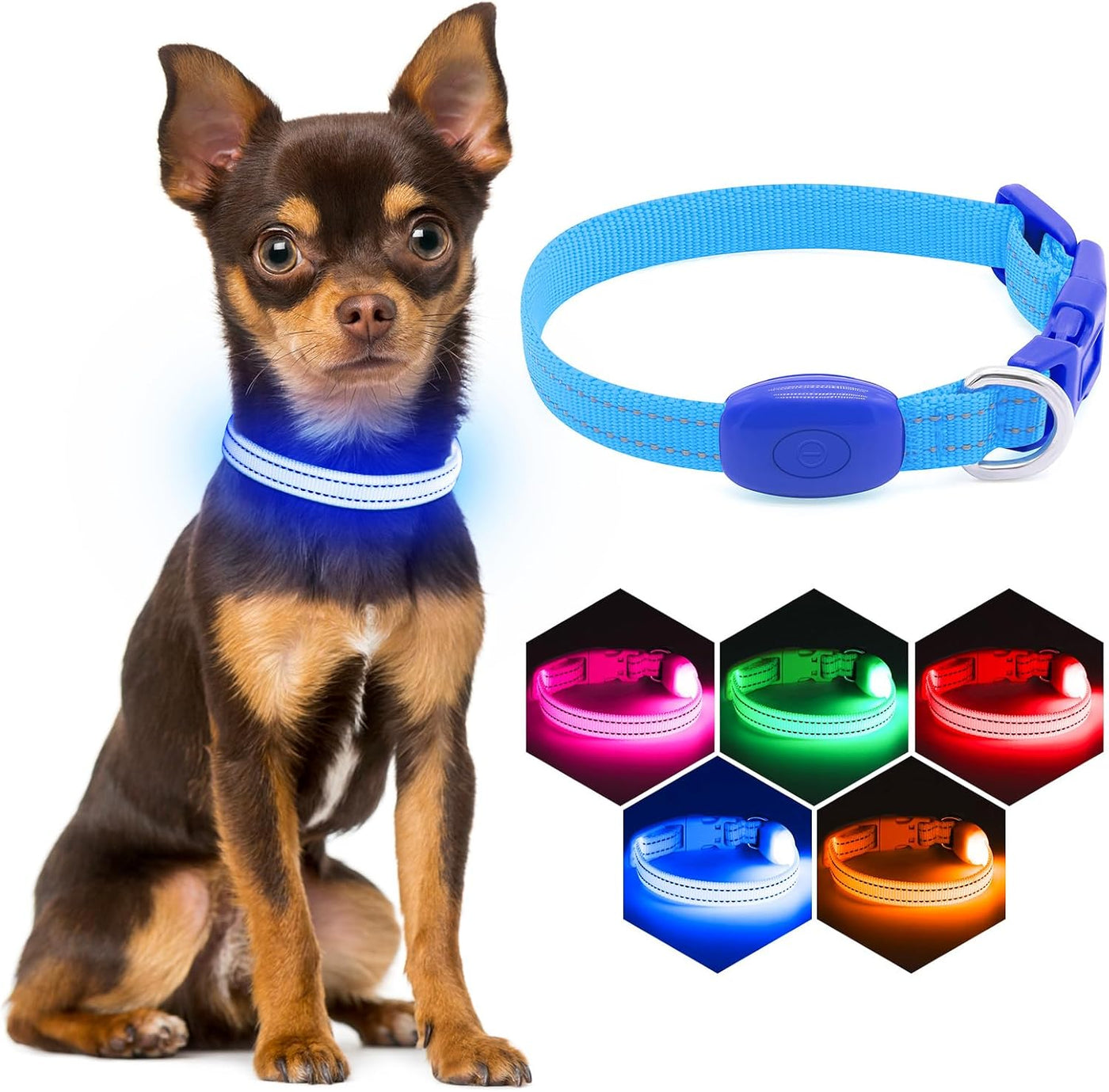 Light up Dog Collars Rechargeable Puppy Collar Lighted Cat Collar Glow in the Dark Dog Lights for Small Dogs & Cats (X-Small, Blue)