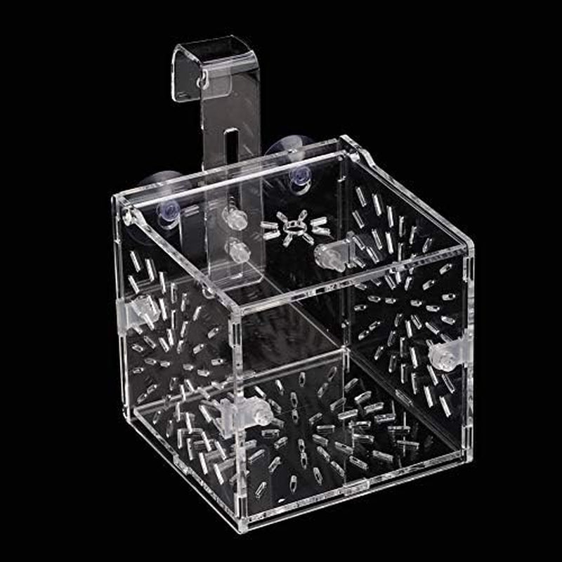 Fish Separation Breeder Box, Acrylic Transparent Fish Breeding Isolation Box Aquarium Hatchery Incubator Holder(A-10X10X10Cm)