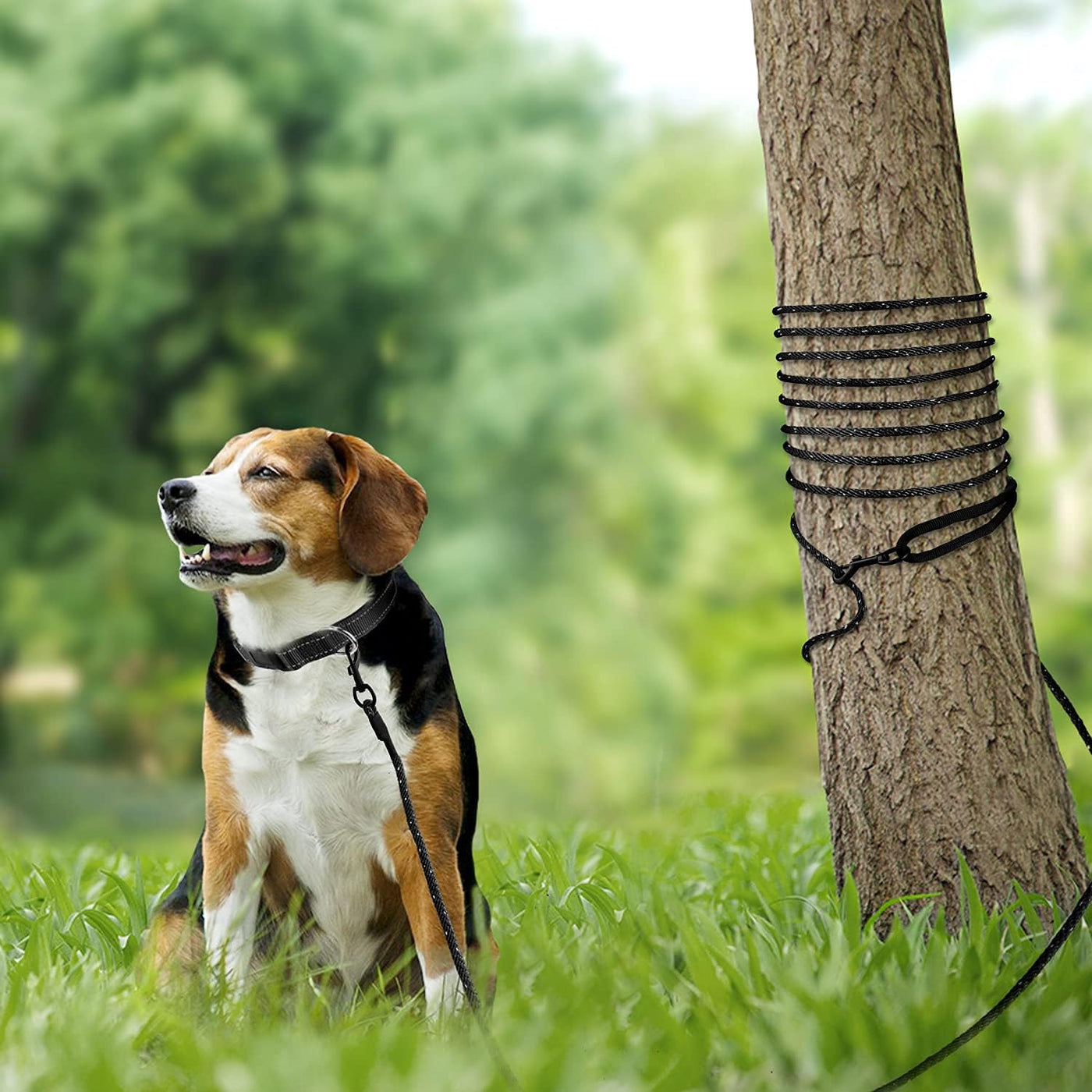 Long Dog Training Leash, 30 FT Tie Out Rope Check Cord Dogs Leashes with Padded Handle, Reflective Recall Lead for Puppy and Small Dogs, Black