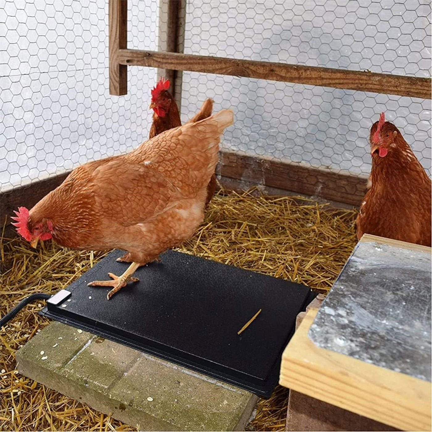 Farm Innovators 60 Watt Heated Chicken Mat for Coops, Pens, Black, 19 X 13In