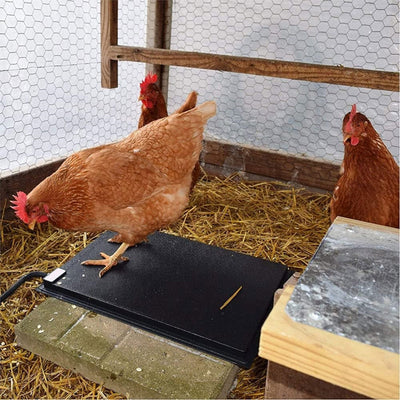 Farm Innovators 60 Watt Heated Chicken Mat for Coops, Pens, Black, 19 X 13In