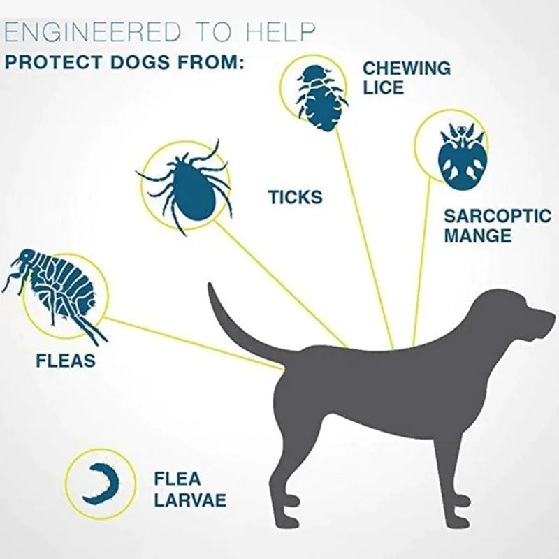 New Cat Dog Collar anti Flea Ticks Mosquitoes Outdoor Adjustable Pet Collars 8 Months Long-Term Protection Puppy Pet Accessories