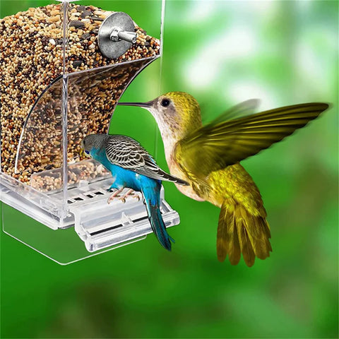 Automatic No-Mess Bird Feeder