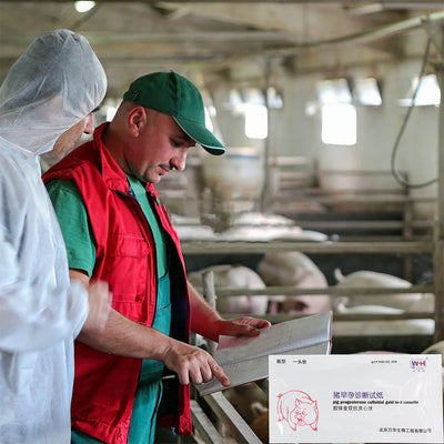 6 Sets Pregnancy Test Paper for Pigs Farm Pregnant Kit Early Strips Animal Detection Reusable