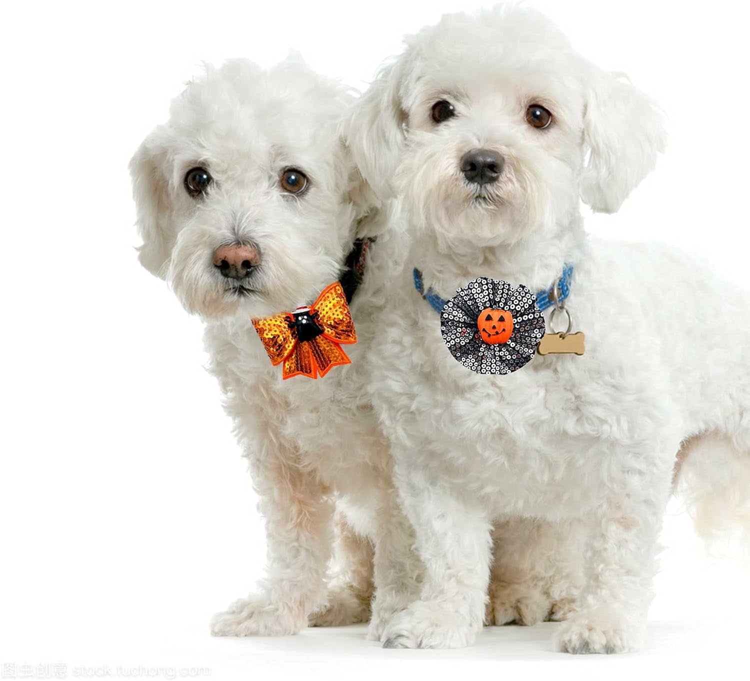 4Pcs Small Dogs Collar Flowers and Bows Charms for Festival Holiday Party Cats Rabbits Slides on Collars Leashes Puppies Medium Dog Collar Attachment