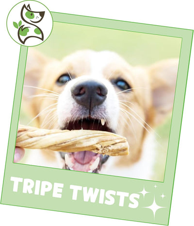 Tripe Twists for Dogs 4-5" (20 Count) - Crunchy Grain Free Reward Snack for Small, Medium & Large Breeds - Natural Beef Dog Chew Treats - Rawhide Free