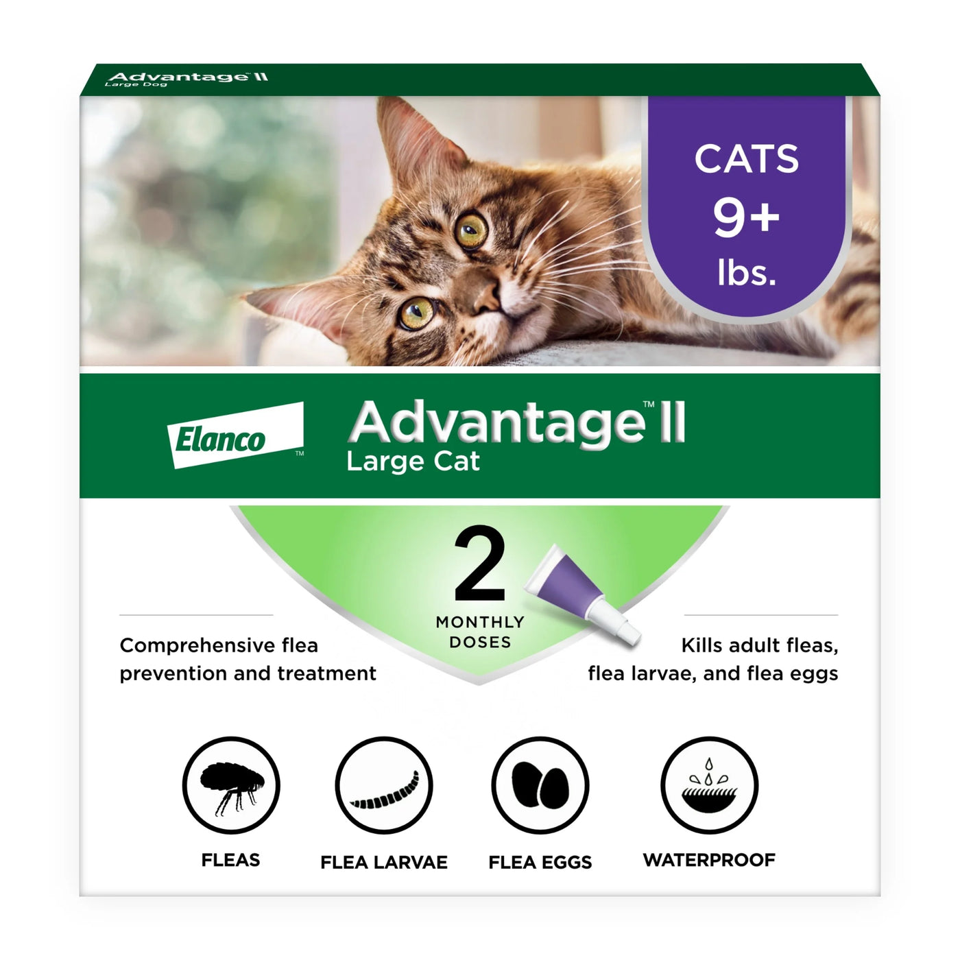 (3 Pack)  Vet-Recommended Flea Prevention for Large Cats 9 Lbs+, 2-Monthly Treatments
