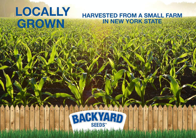 Cracked Corn for Birds, Turkeys, Wildlife, Chickens (50 Pounds)