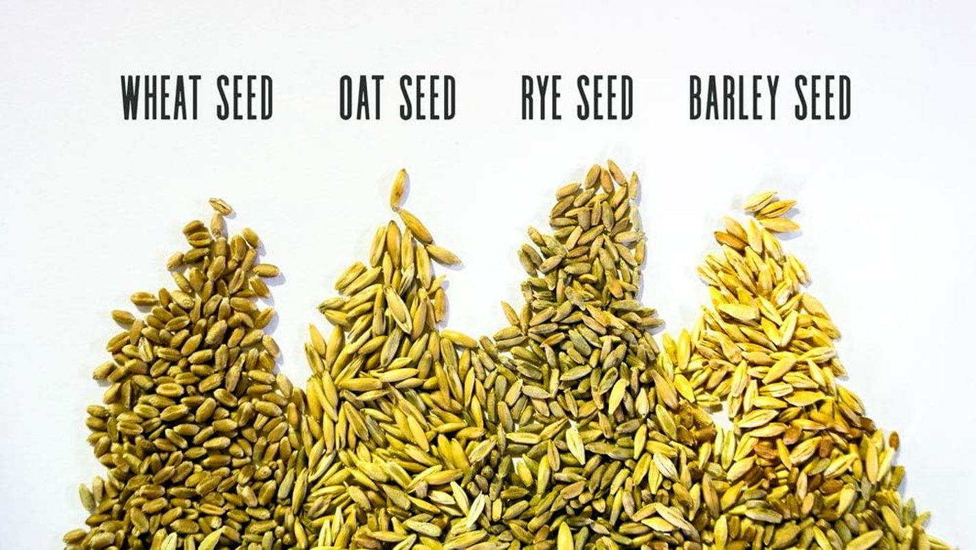 Cat Grass Blend - Wheat, Barley, Oats, and Rye Seed Mix - Non-Gmo - Certified Organic - Bonus CAT Toy (8 Oz)