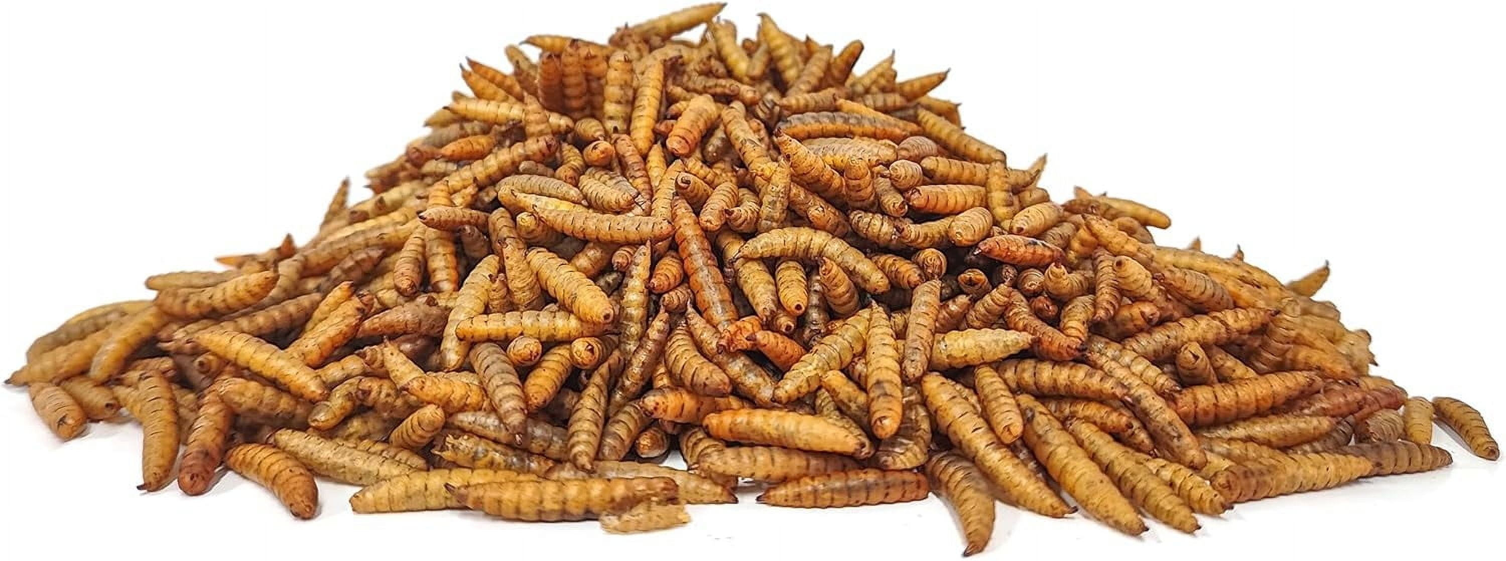 Black Soldier Fly Larvae 5LB, 100% Natural Non-Gmo Molting & Laying Supplement for Hens
