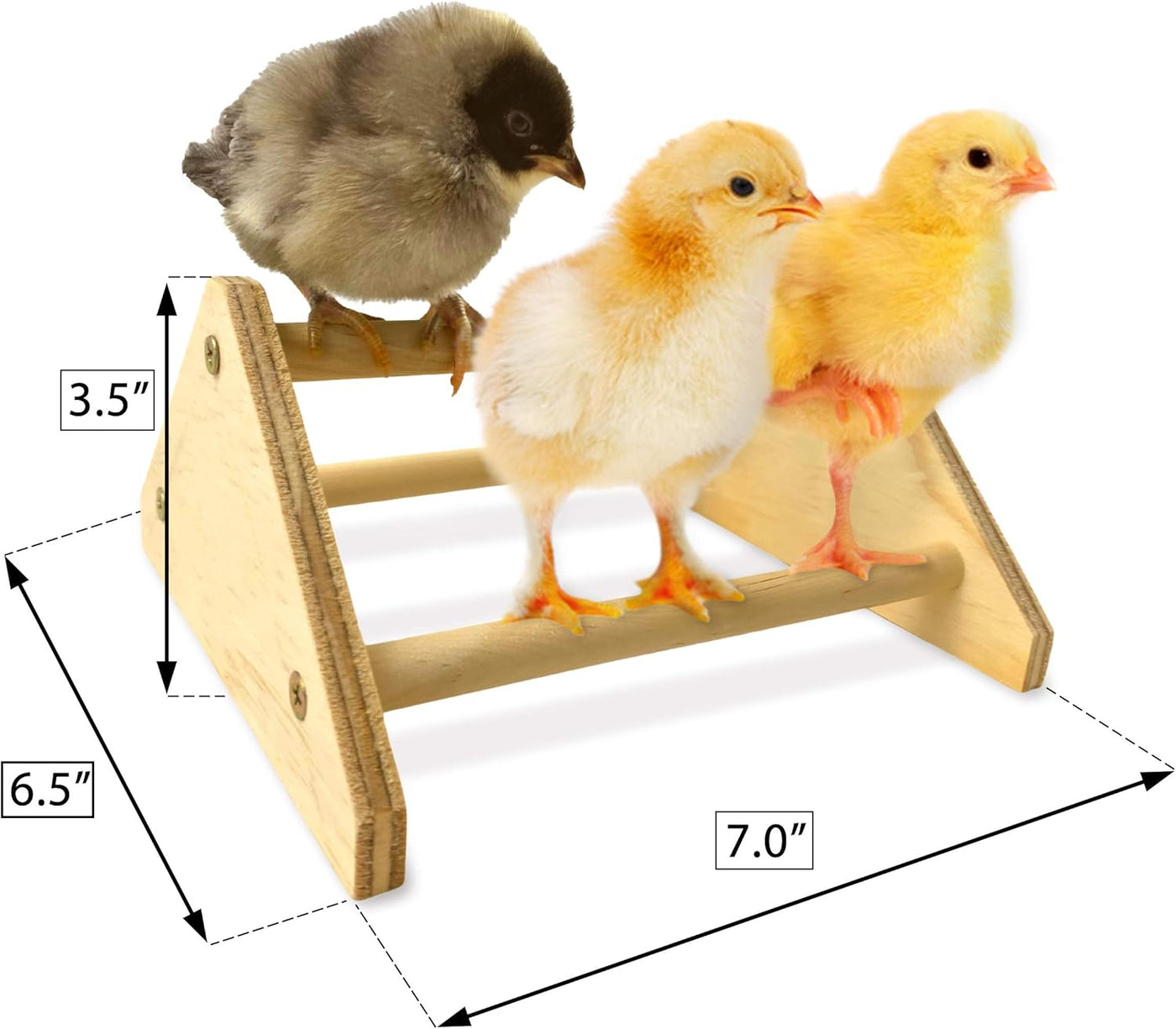 Mini Chick Perch Strong Roosting Bar Made in the USA!!! Jungle Gym Chicken Toys for Coop and Brooder for Baby Chicks El Pollitos La Pollita Pollos Gallinas Polluelos