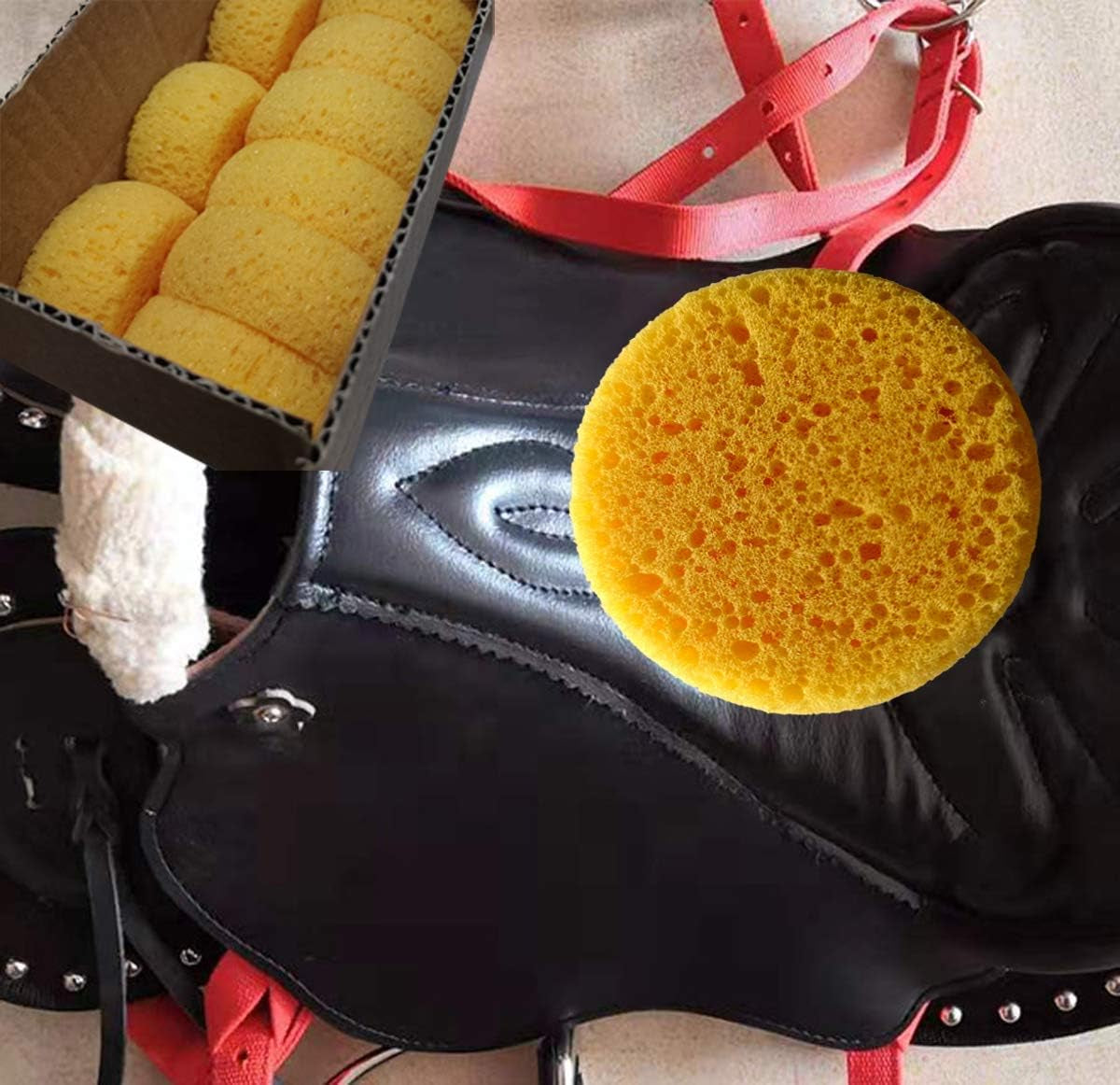A Box of 12 Tack Sponges (Coarse Holes)
