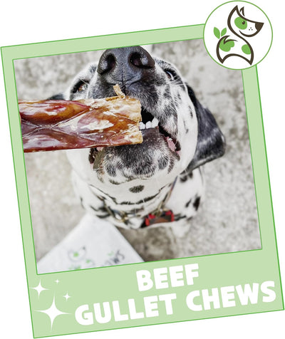Beef Gullet Chews for Large Dogs 9-10" (20 Count) - Natural Beef Jerky Stick Dog Chew Treats - Rawhide Free