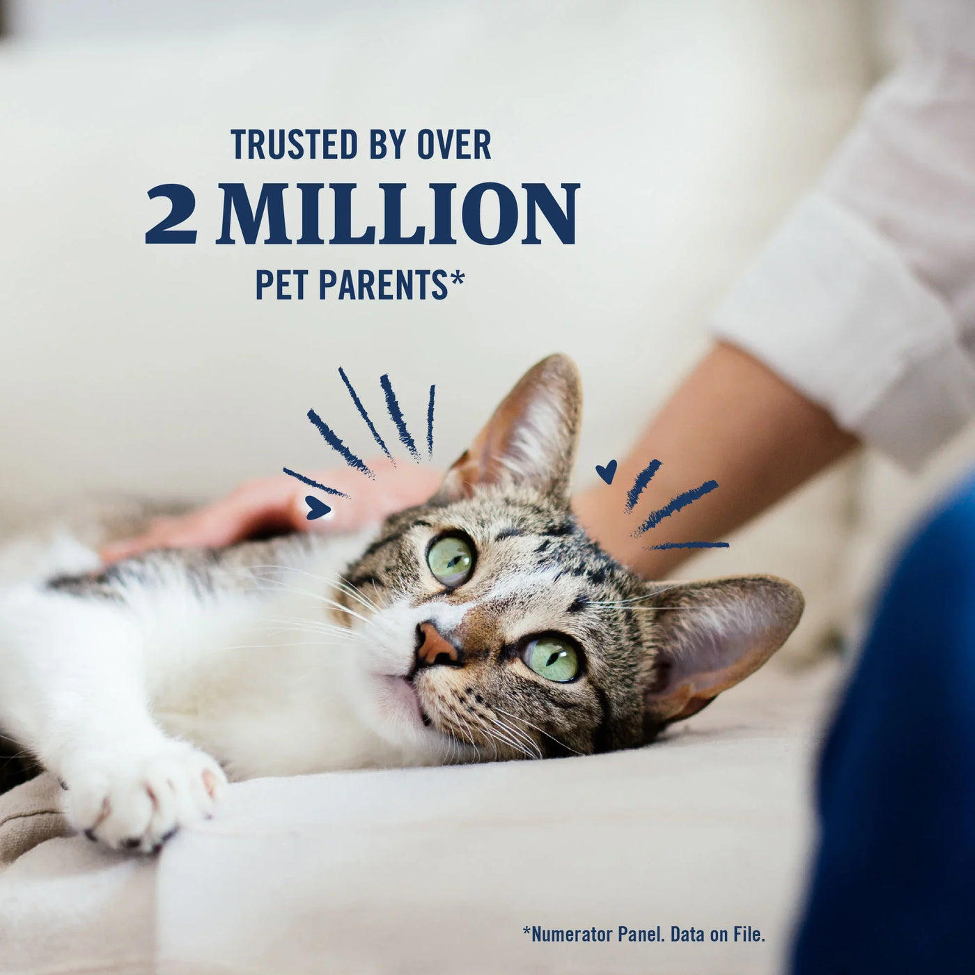 plus for Cats Flea & Tick Prevention, over 1.5 Lbs, 1 Month Supply