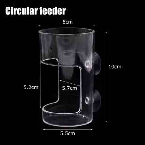 Fish Feeders Aquarium Feeding Ring Floating Food Tray Feeder with Suction Cups Transparent Fish Aquatic Pet Supplies