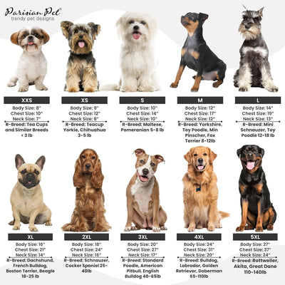 Embroidered 'Naughty or Nice' Dog Shirt - Lightweight Cotton, Sleeveless, Funny Christmas Dog Clothes - XXL