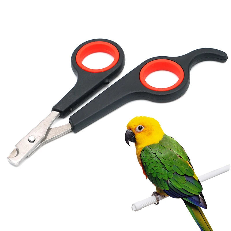 Pet Bird Parrot Small Animals Accessory Grooming Tool Nail Scissors Clipper Black and Red