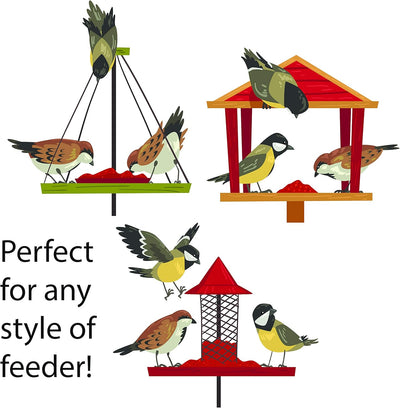 | Four Seasons | Cracked Corn | Wild Bird Food | Backyard Songbird | 4 Pounds