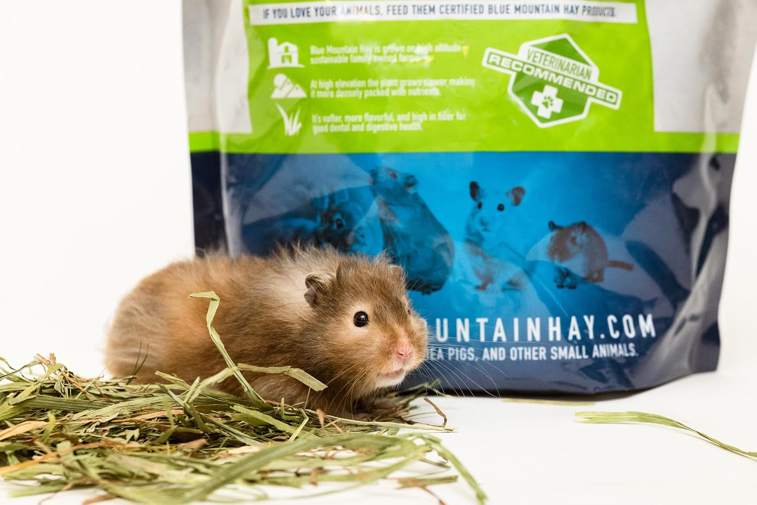 | Fresh Timothy Hay (25 Pounds) | Great for All Ages | High-Altitude Hay Pet Food for Rabbits, Guinea Pigs, Chinchillas, Hamsters, and Other Small Pets