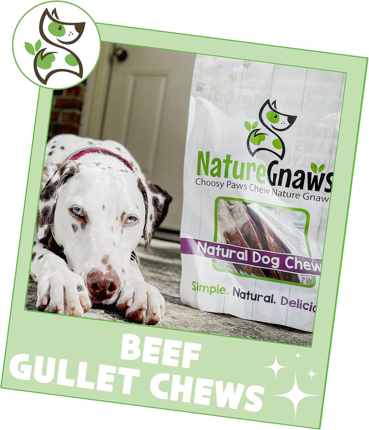 Beef Gullet Chews for Large Dogs 9-10" (20 Count) - Natural Beef Jerky Stick Dog Chew Treats - Rawhide Free