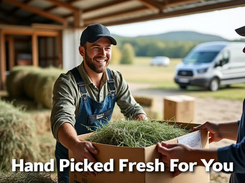 | Fresh Timothy Hay (25 Pounds) | Great for All Ages | High-Altitude Hay Pet Food for Rabbits, Guinea Pigs, Chinchillas, Hamsters, and Other Small Pets