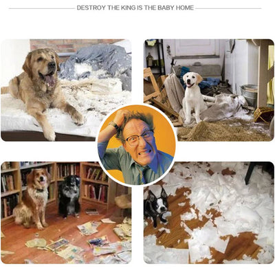 Pet Others Voice and Large Yellow Dog Toy Dog Squeaky Toy Plush Dog Toys Pet Supplies BK1