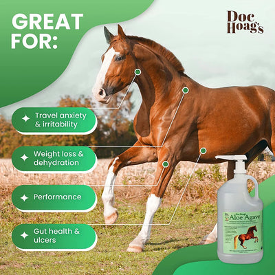 Aloe-Agave Supplement for Horses and Other Large Animals by Doc Hoag'S