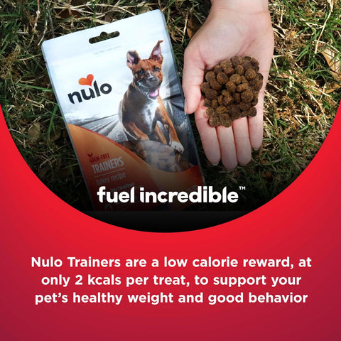 Freestyle Duck Flavor Healthy Dog and Puppy Training Treats, 4 Ounce Pouch