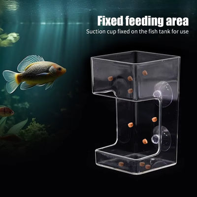 Fish Feeders Aquarium Feeding Ring Floating Food Tray Feeder with Suction Cups Transparent Fish Aquatic Pet Supplies