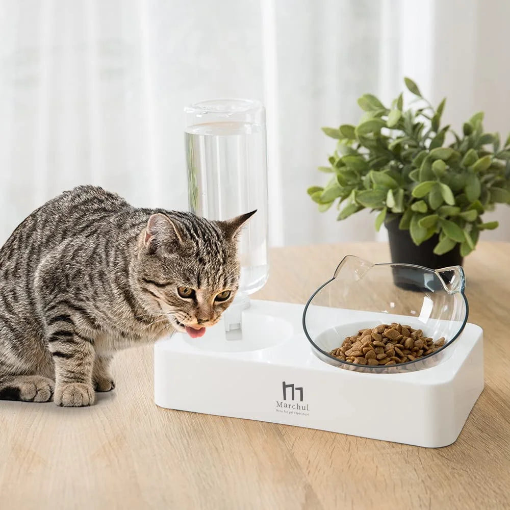 Raised Three Cat Dishes Food and Water Bowl with Automatic Water Bottle for Cats
