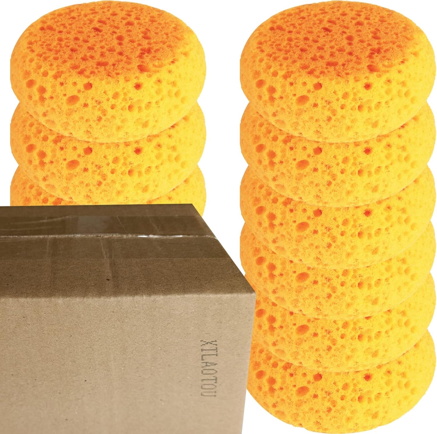 A Box of 12 Tack Sponges (Coarse Holes)