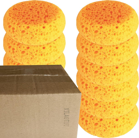 A Box of 12 Tack Sponges (Coarse Holes)